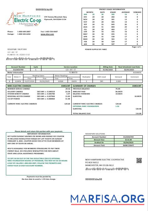 Realistic USA New Hampshire Electric Co op electricity business utility bill template in Word and PDF formats